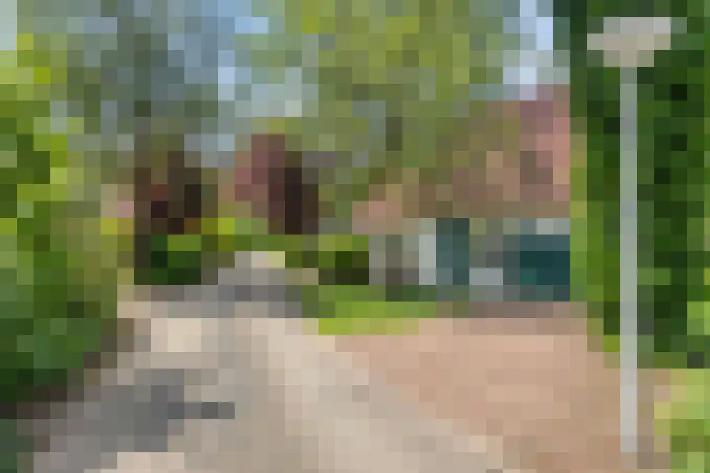 Sanatoriumlaan 6 80 Hellendoorn thumbnail 22