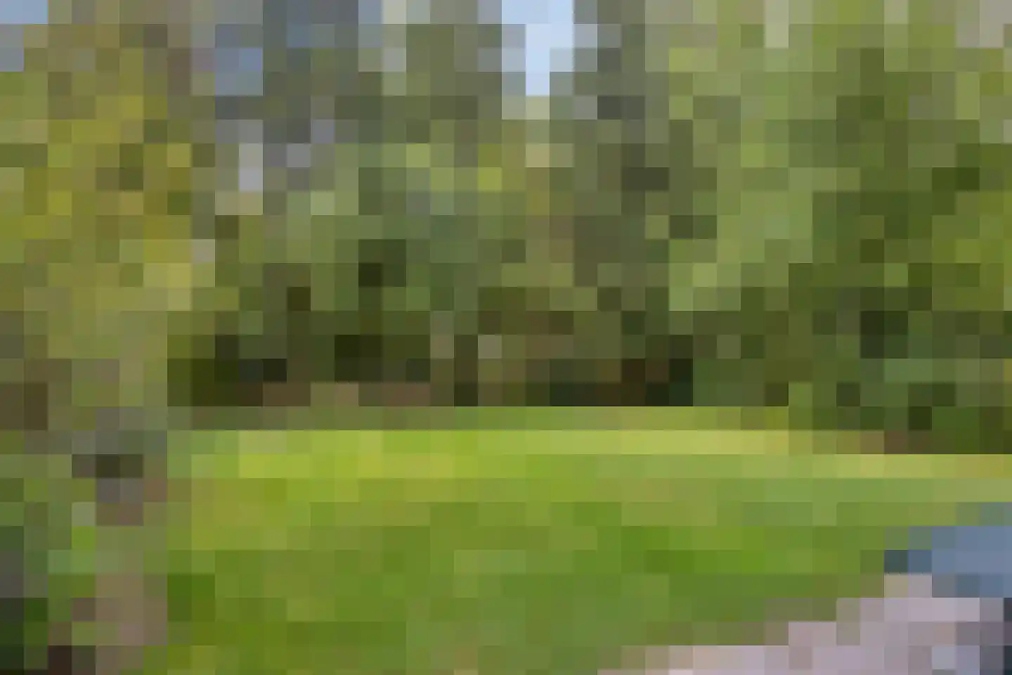 Sanatoriumlaan 6 80 Hellendoorn thumbnail 24
