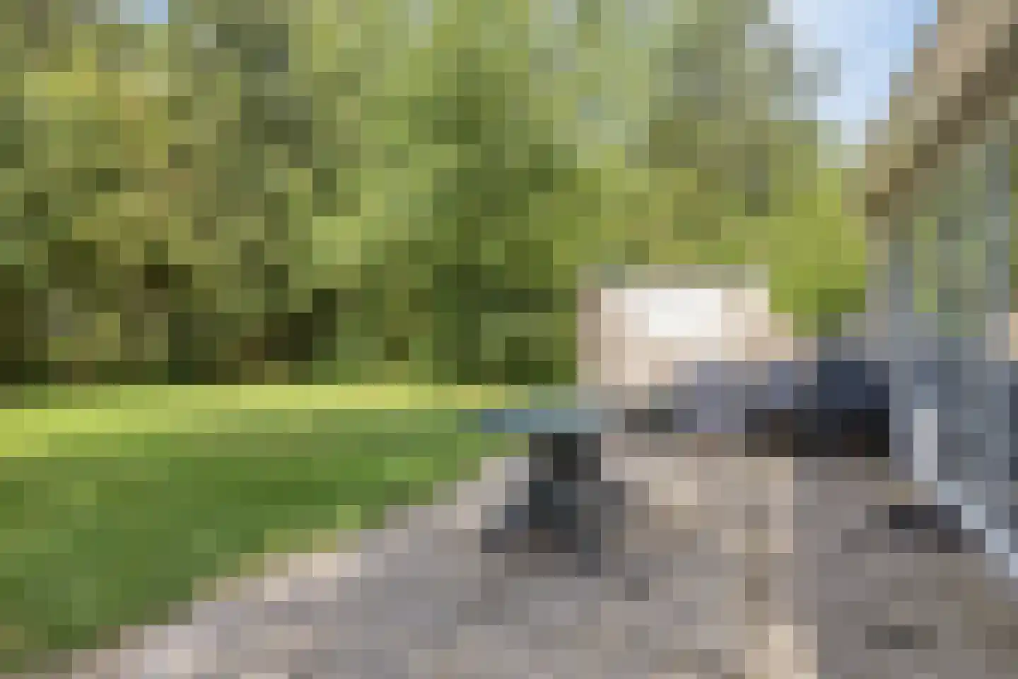 Sanatoriumlaan 6 80 Hellendoorn thumbnail 25