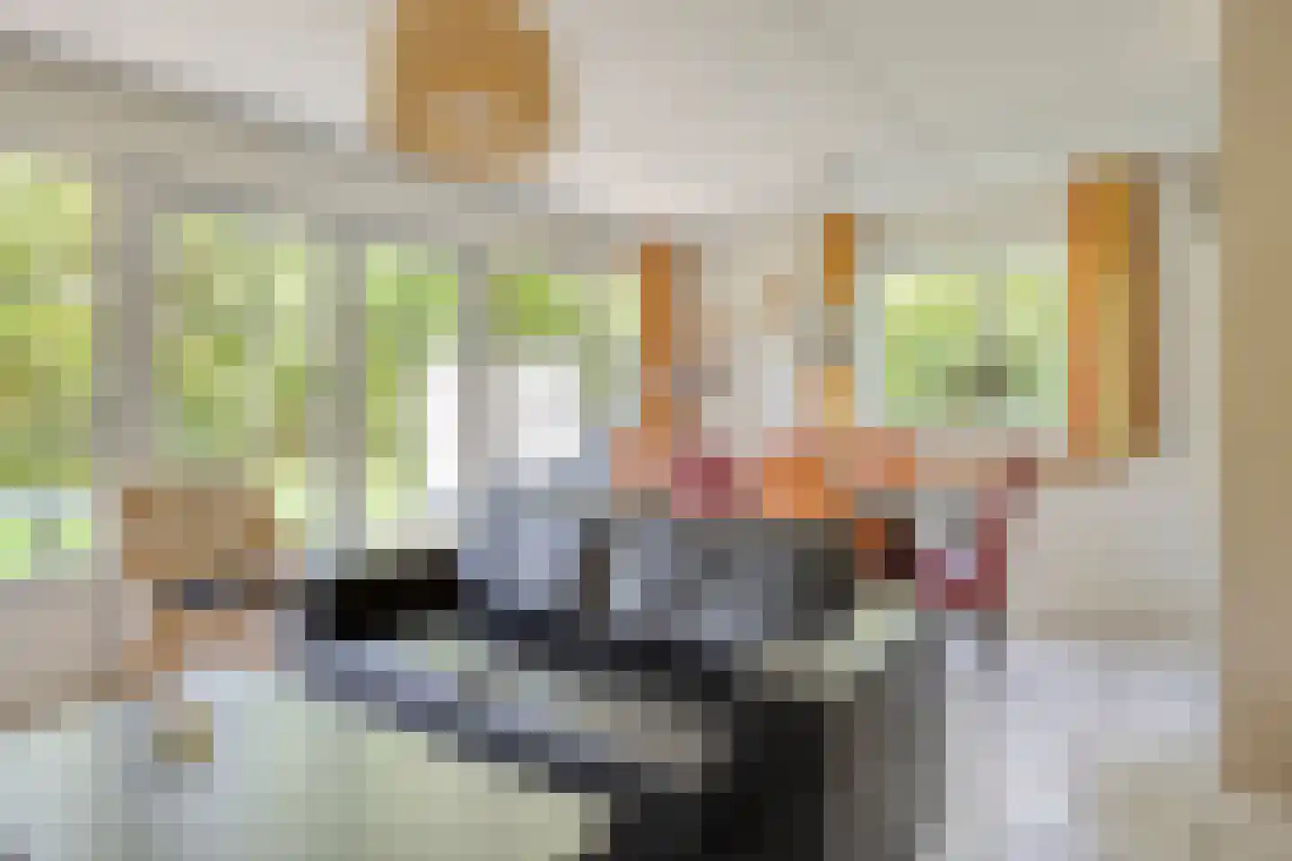 Sanatoriumlaan 6 80 Hellendoorn thumbnail 5