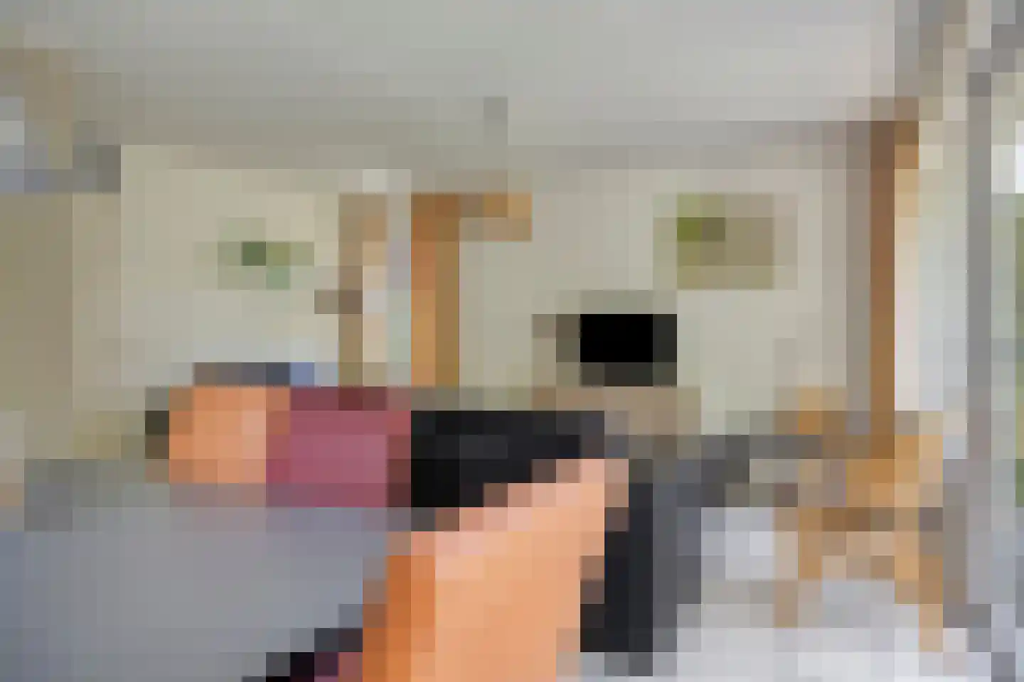 Sanatoriumlaan 6 80 Hellendoorn thumbnail 7