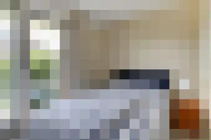 Sânbank 11 Workum thumbnail 14