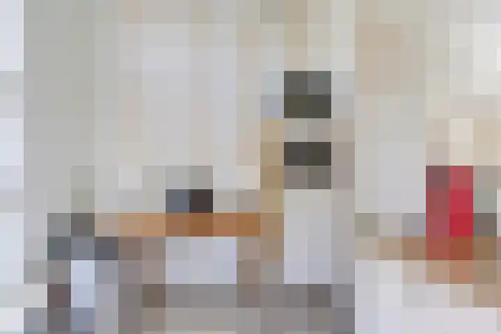 Sânbank 11 Workum thumbnail 26