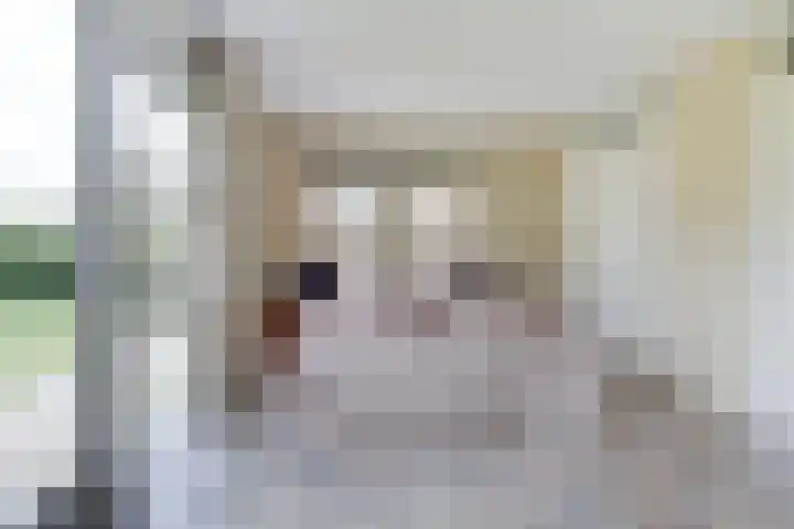 Sânbank 11 Workum thumbnail 9