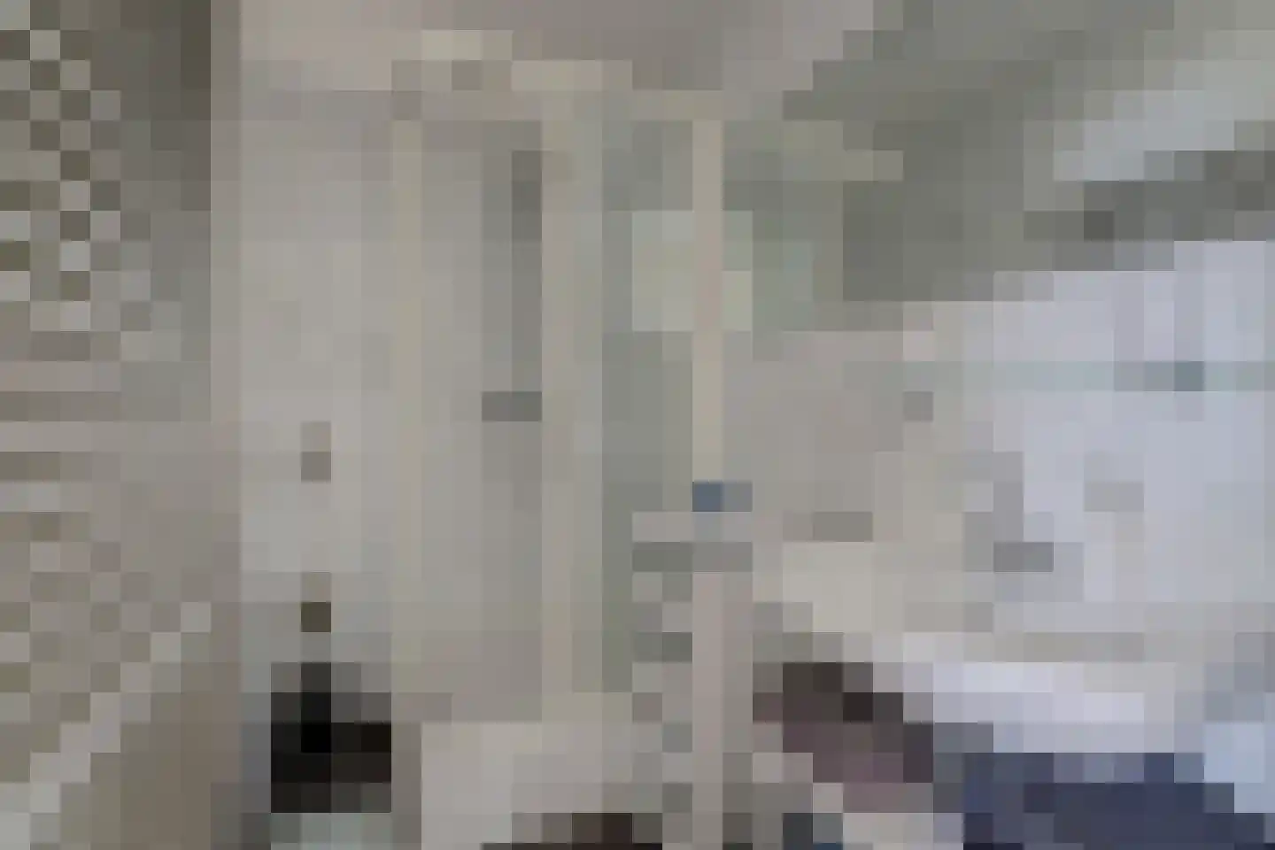 Sânbank 13 Workum thumbnail 12
