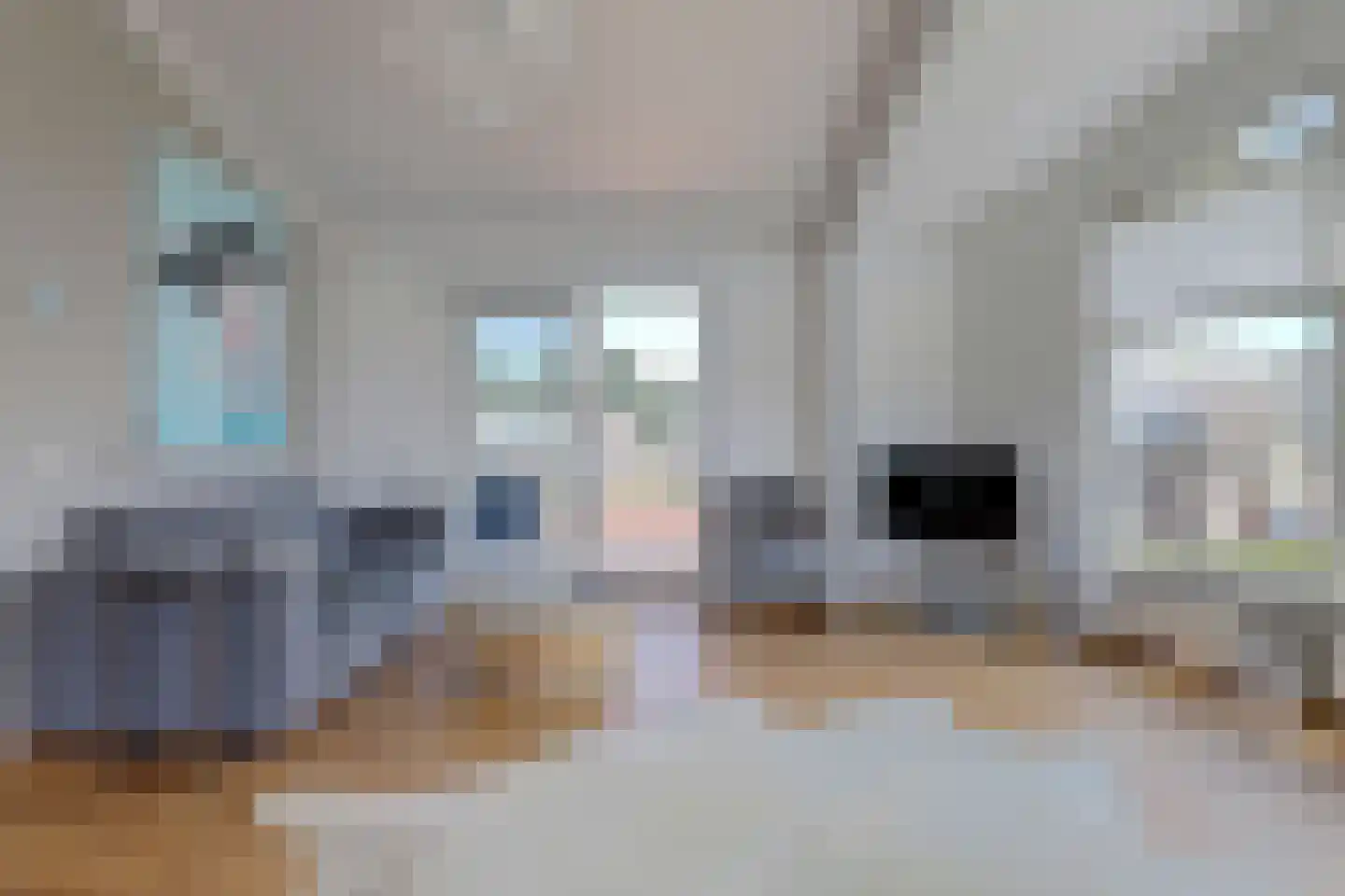 Sânbank 13 Workum thumbnail 14