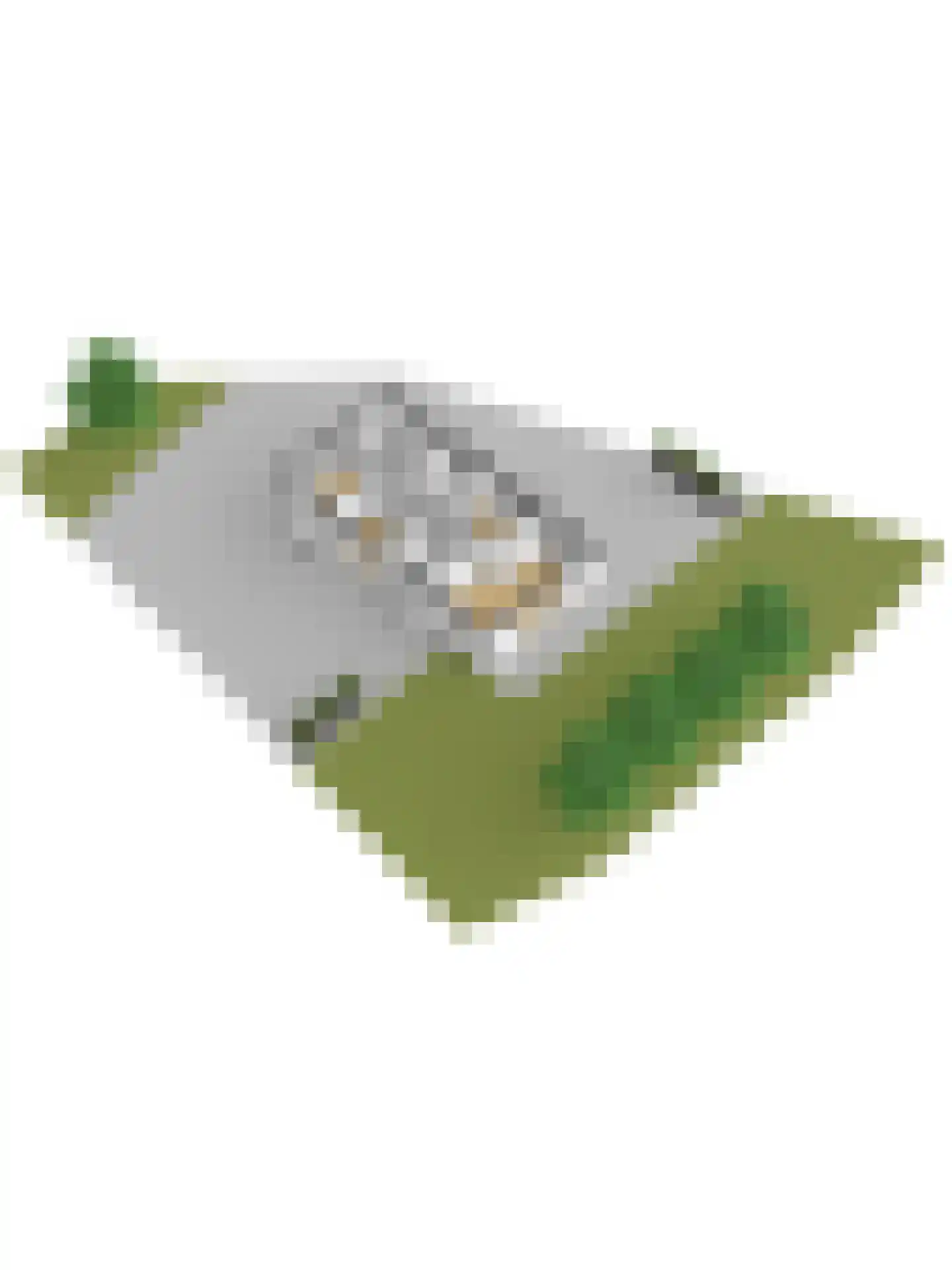 Sânbank 13 Workum thumbnail 48