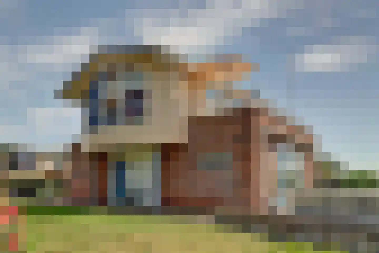 Sânbank 13 Workum thumbnail 5