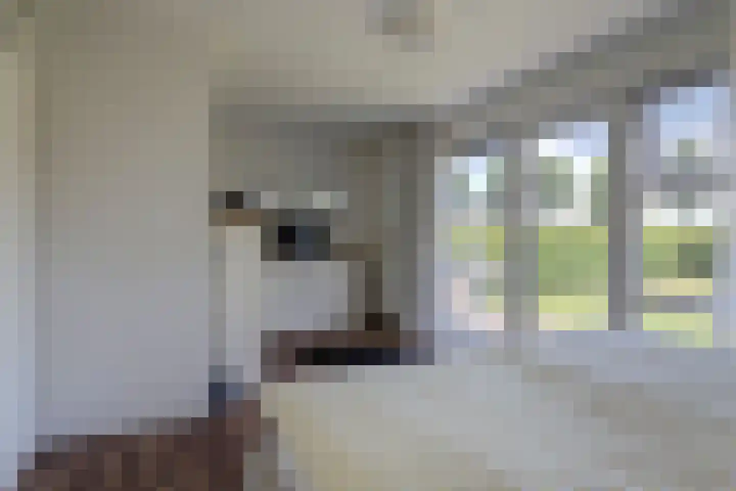 Sânbank 13 Workum thumbnail 7