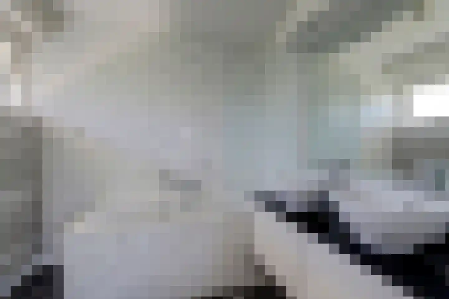Sânbank 13 Workum thumbnail 8