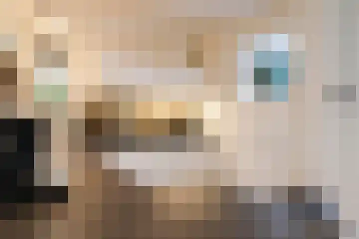 Sânbuorren 12 Oudega thumbnail 15