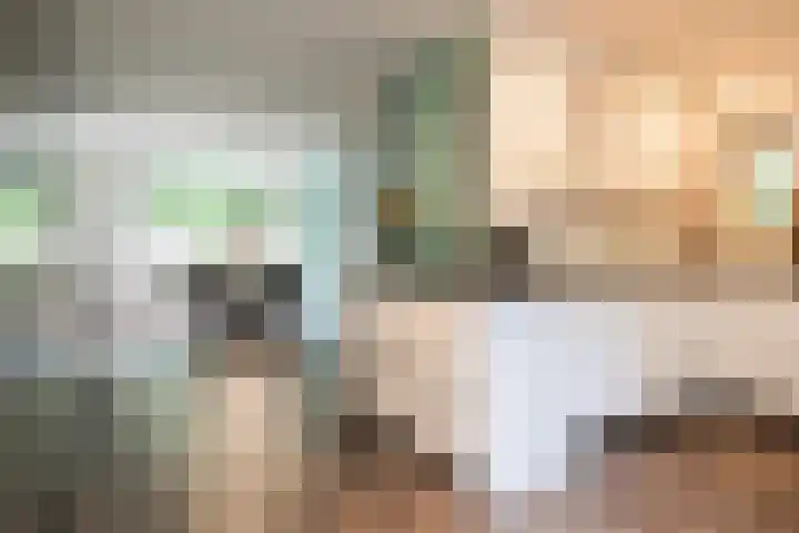 Sânbuorren 12 Oudega thumbnail 19