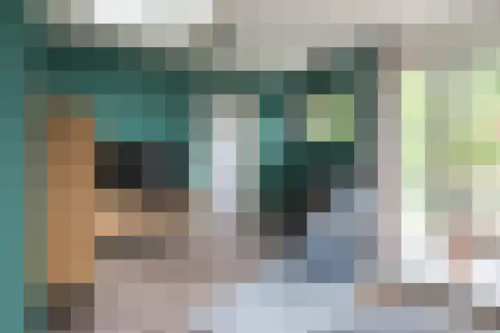 Sânbuorren 12 Oudega thumbnail 22