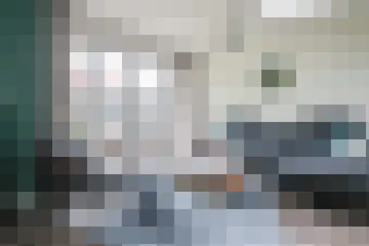 Sânbuorren 12 Oudega thumbnail 23
