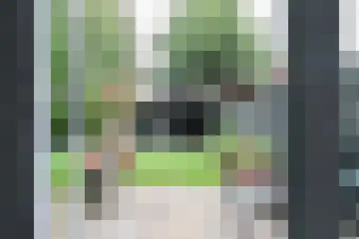 Sânbuorren 12 Oudega thumbnail 24