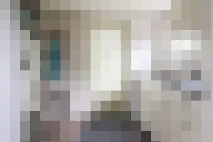 Sânbuorren 12 Oudega thumbnail 29
