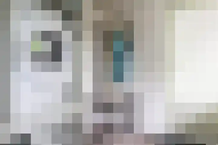 Sânbuorren 12 Oudega thumbnail 30