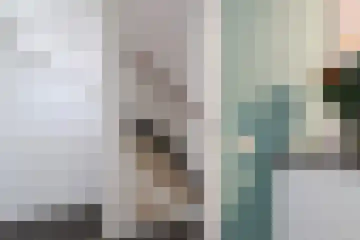 Sânbuorren 12 Oudega thumbnail 31
