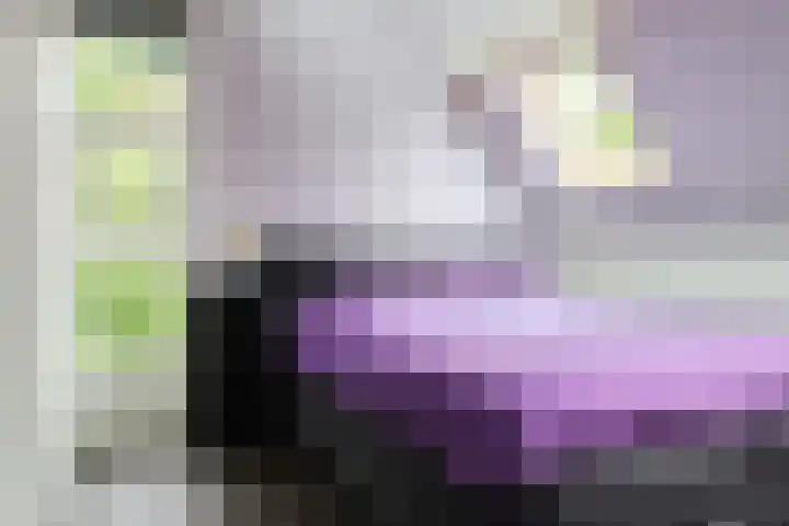 Sânbuorren 12 Oudega thumbnail 4