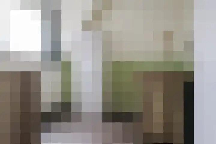 Sânbuorren 12 Oudega thumbnail 41