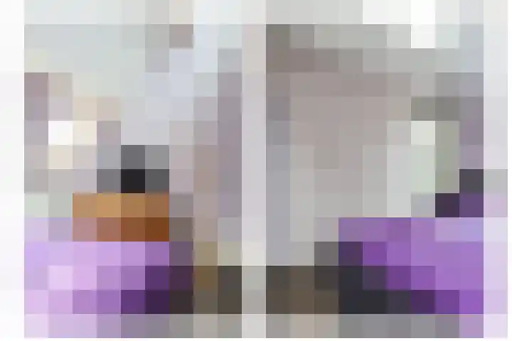 Sânbuorren 12 Oudega thumbnail 47