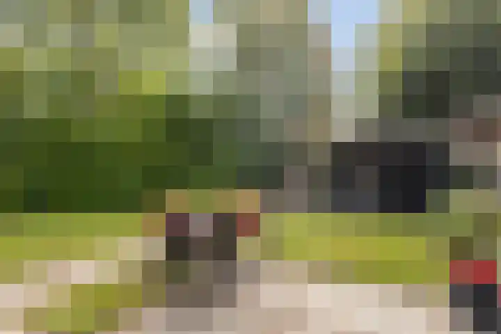 Sânbuorren 12 Oudega thumbnail 54