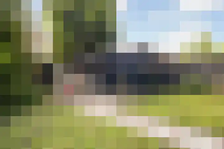 Sânbuorren 12 Oudega thumbnail 55