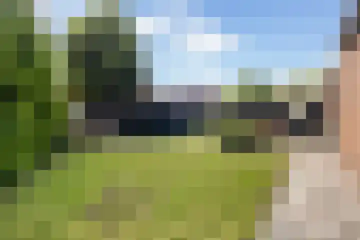 Sânbuorren 12 Oudega thumbnail 56