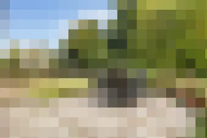 Sânbuorren 12 Oudega thumbnail 57
