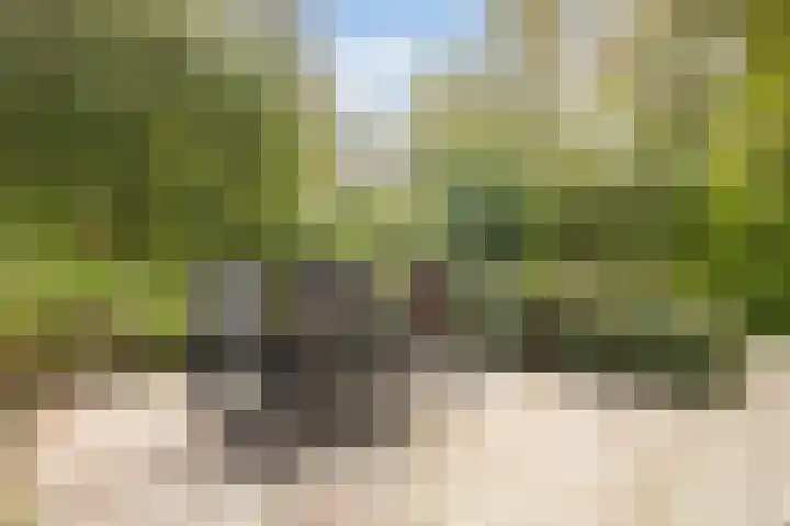Sânbuorren 12 Oudega thumbnail 58