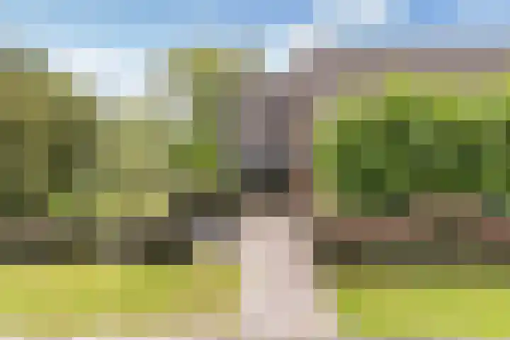Sânbuorren 12 Oudega thumbnail 6