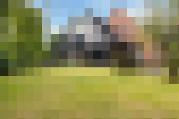 Sânbuorren 12 Oudega thumbnail 61