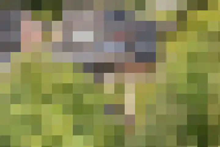 Sânbuorren 12 Oudega thumbnail 62