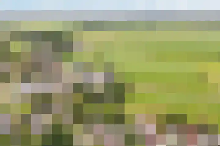 Sânbuorren 12 Oudega thumbnail 63