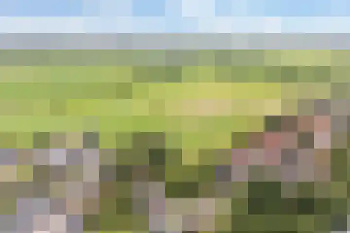Sânbuorren 12 Oudega thumbnail 64