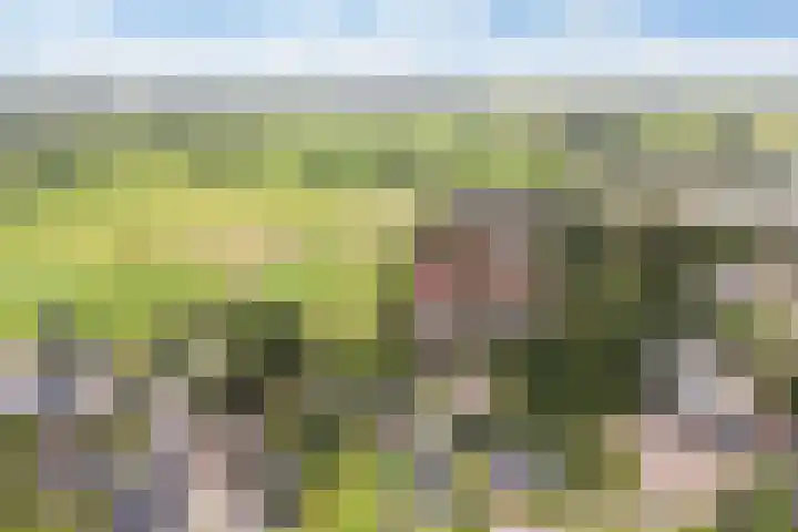 Sânbuorren 12 Oudega thumbnail 65