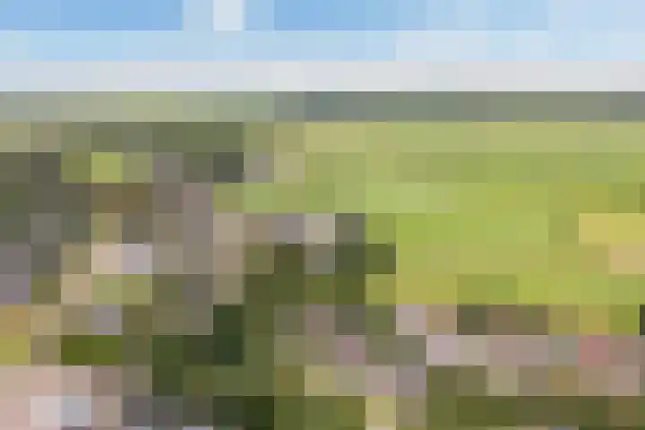 Sânbuorren 12 Oudega thumbnail 66