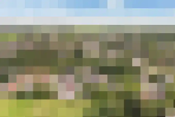Sânbuorren 12 Oudega thumbnail 67