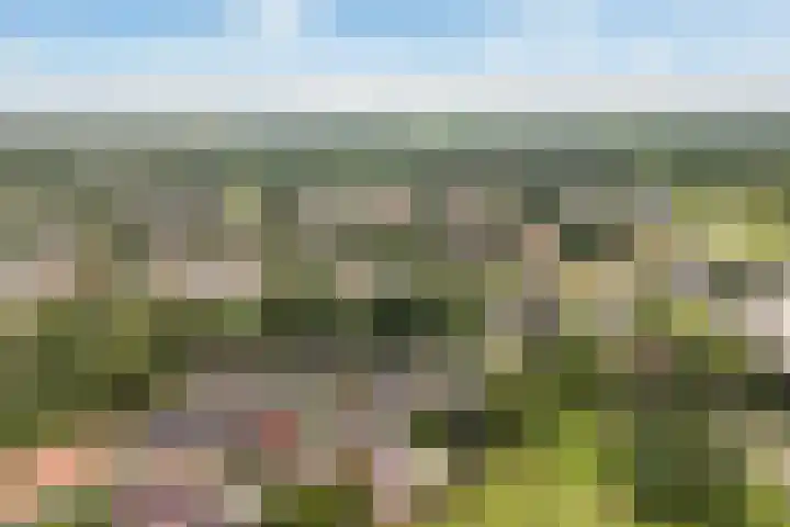 Sânbuorren 12 Oudega thumbnail 68