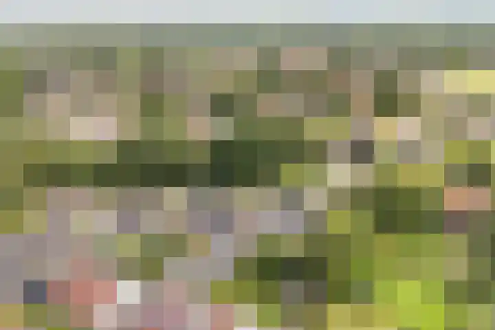 Sânbuorren 12 Oudega thumbnail 69