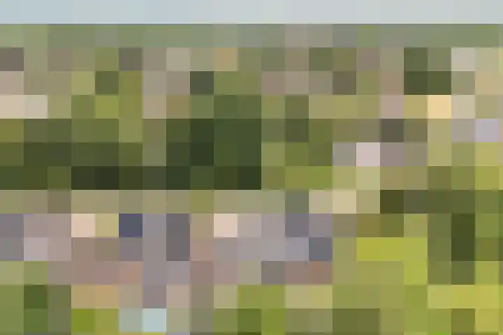 Sânbuorren 12 Oudega thumbnail 70