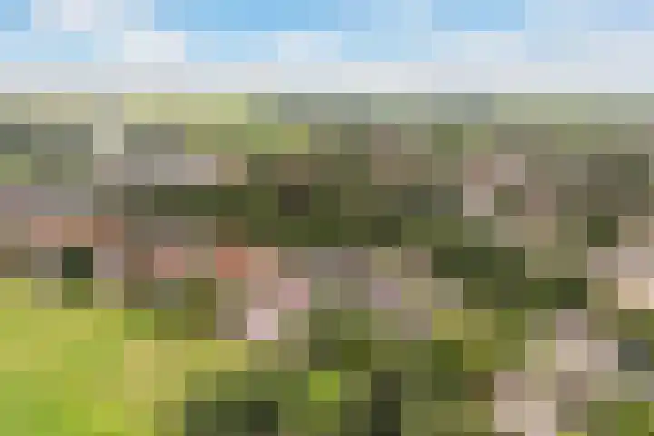 Sânbuorren 12 Oudega thumbnail 71