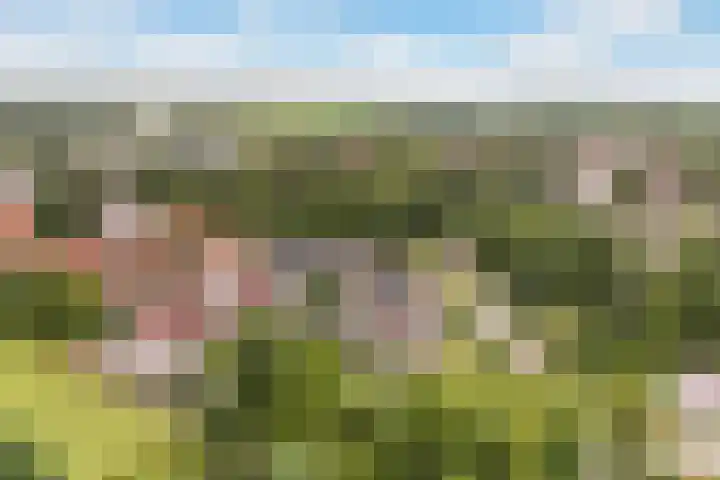 Sânbuorren 12 Oudega thumbnail 72