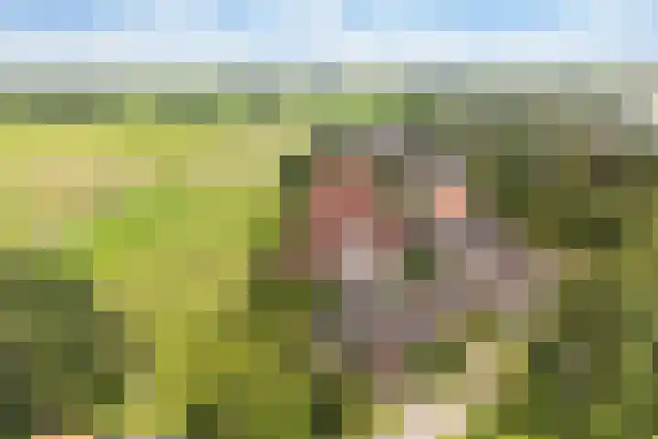 Sânbuorren 12 Oudega thumbnail 74