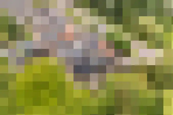 Sânbuorren 12 Oudega thumbnail 75