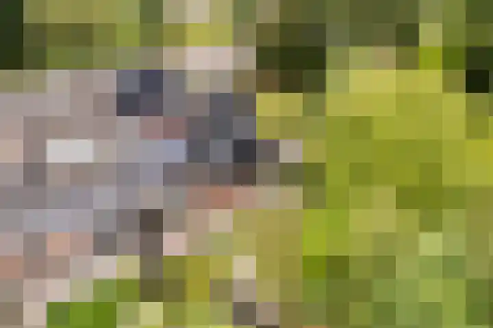 Sânbuorren 12 Oudega thumbnail 76