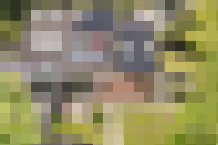 Sânbuorren 12 Oudega thumbnail 77