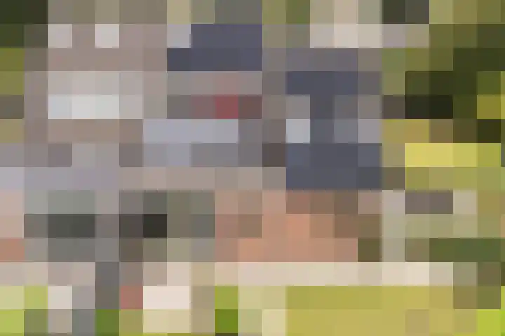 Sânbuorren 12 Oudega thumbnail 78