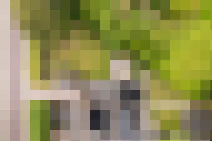 Sânbuorren 12 Oudega thumbnail 79