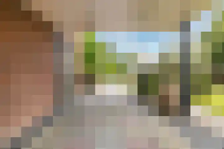 Sânbuorren 12 Oudega thumbnail 8